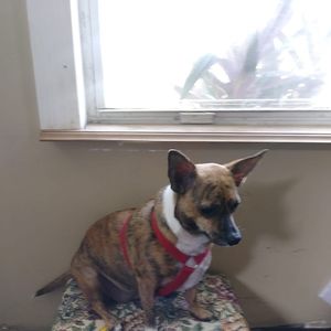 Meet your Posher, Charles